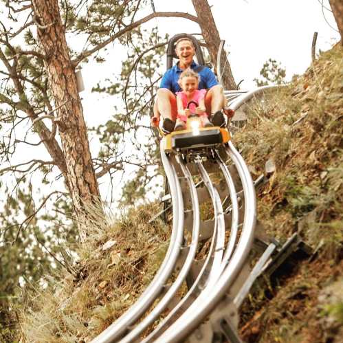 A man and a child joyfully ride a mountain coaster down a track surrounded by trees.