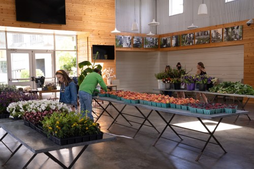 A bright indoor market with tables of flowers and fruits, featuring people arranging produce and enjoying the space.