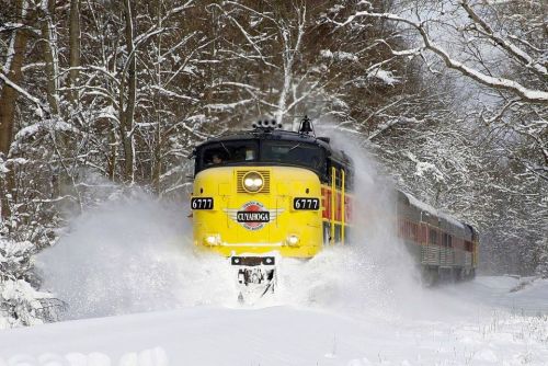 A yellow train plows through deep snow, surrounded by trees in a winter landscape.