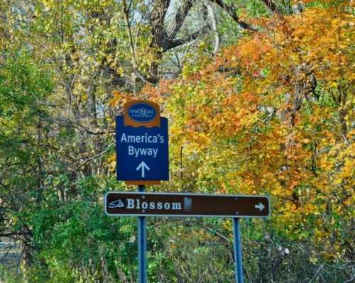 Sign for America's Byway with an arrow pointing right, surrounded by colorful autumn foliage.