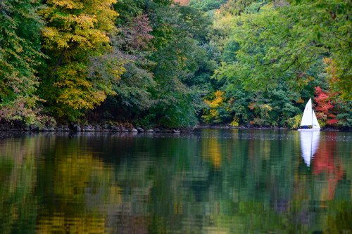 A serene lake surrounded by colorful autumn trees, with a small sailboat gliding across the calm water.