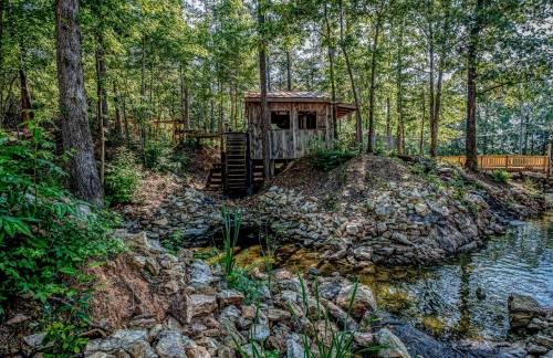 A rustic wooden cabin nestled among trees by a rocky stream, surrounded by lush greenery.