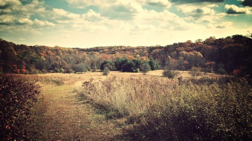 A scenic landscape featuring a winding path through tall grass, surrounded by autumn-colored trees under a cloudy sky.