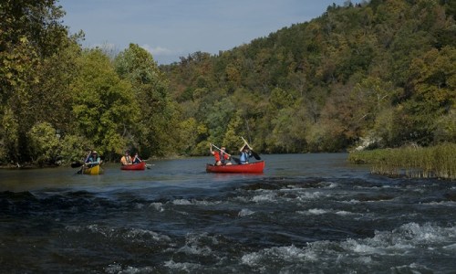 Four people in colorful kayaks paddle down a river surrounded by lush green trees and a scenic hillside.