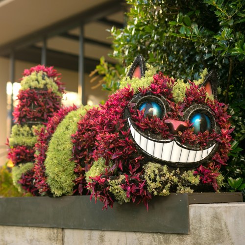 A whimsical topiary cat with vibrant flowers and a big grin, nestled among green foliage in a garden setting.
