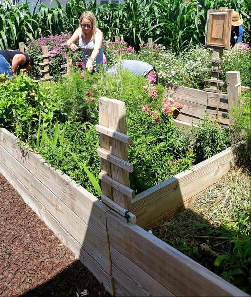 A woman tends to a vibrant garden filled with flowers and plants, surrounded by wooden raised beds.