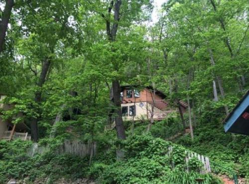 A house nestled among lush green trees on a hillside, surrounded by dense foliage.