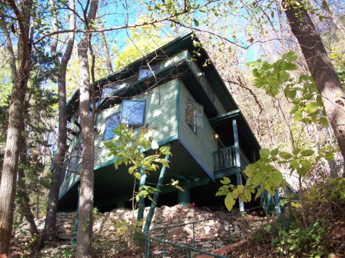 A green house on stilts surrounded by trees and foliage, set against a clear blue sky.