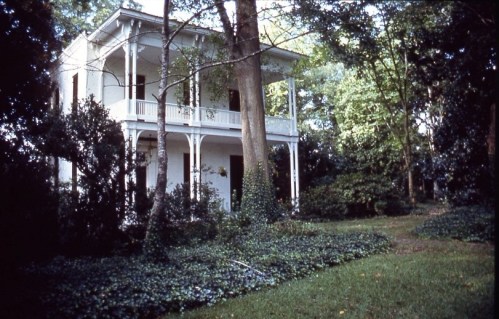 A white two-story house surrounded by trees and lush greenery in a serene garden setting.