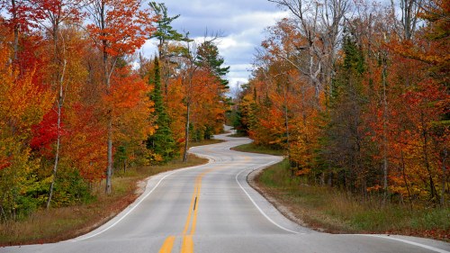 Winding road through vibrant autumn trees with orange and yellow leaves under a cloudy sky.