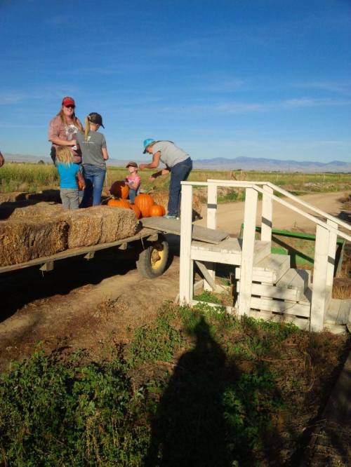 A group of people, including children, gather around pumpkins on a hay wagon in a sunny outdoor setting.
