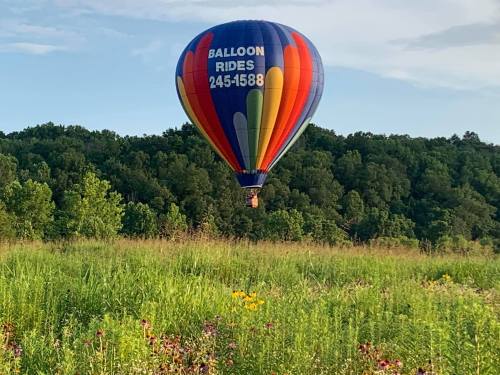 A colorful hot air balloon floats above a green field with wildflowers, surrounded by trees in the background.