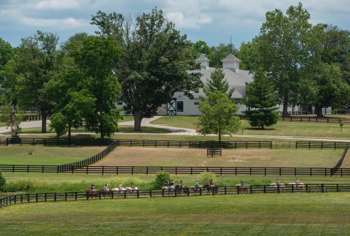 A group of horseback riders trots along a green field near a large barn and trees under a blue sky.