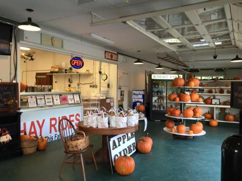 Interior of a farm stand with pumpkins, apple cider display, and a counter marked "Open" for hay rides.