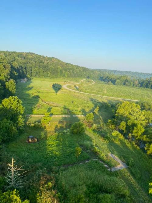 A scenic view of rolling green hills and a winding path under a clear blue sky, with shadows cast on the landscape.