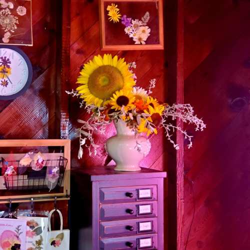 A vase of sunflowers and dried flowers on a wooden cabinet against a rustic wall.
