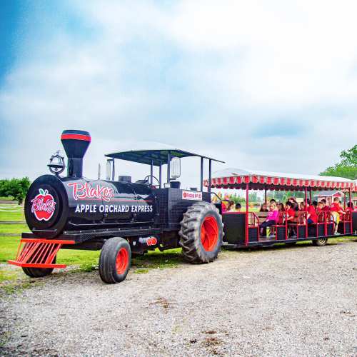 A colorful train ride at an orchard, with children seated in a covered wagon behind a black engine.