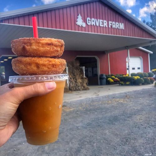 A hand holds a drink topped with two cinnamon sugar donuts in front of Gaver Farm's red barn.