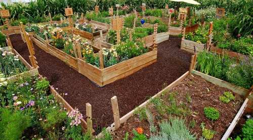 A vibrant garden with wooden raised beds, colorful flowers, and winding paths surrounded by lush greenery.