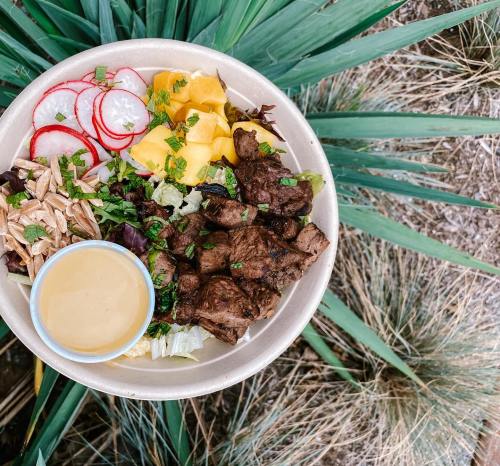 A bowl of grilled meat with salad, radishes, mango, and a small cup of dressing, surrounded by green plants.