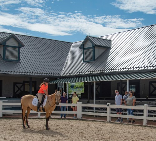 A rider in an orange shirt on a horse, with spectators watching in a sunny equestrian arena.