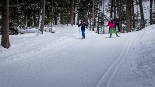 Three people cross-country skiing on a snowy trail surrounded by trees in a winter landscape.