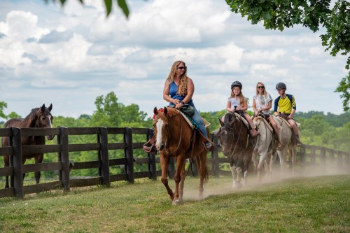 A group of people riding horses along a grassy path, with trees and a wooden fence in the background.