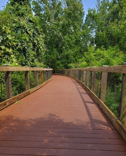 A winding wooden boardwalk surrounded by lush green trees and foliage on a sunny day.
