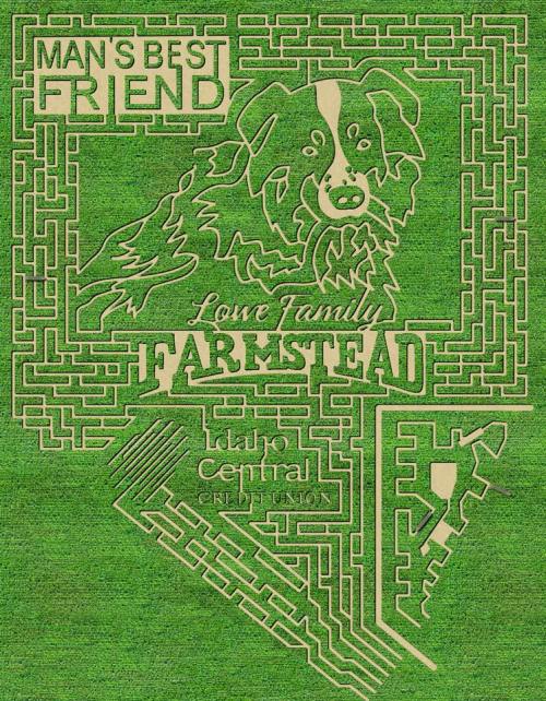 A maze design featuring a dog and the text "Man's Best Friend" and "Love Family Farmstead" on a green background.