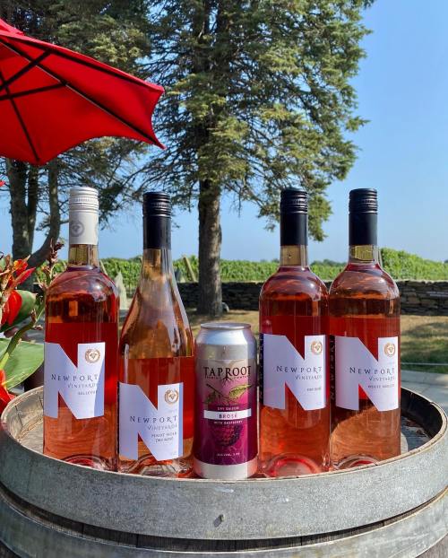 Four bottles of Newport rosé wine and a can of Taproot cider on a wooden barrel, with trees and a blue sky in the background.