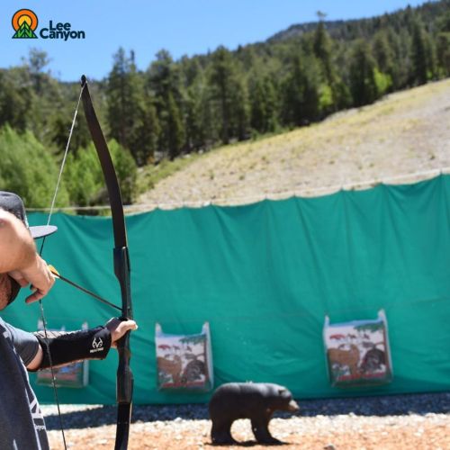 A person aiming a bow and arrow at a target featuring a bear, with a green backdrop of trees and mountains.