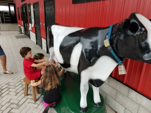Children playfully pretend to milk a life-sized cow statue outside a red barn.