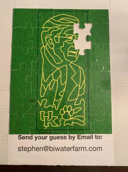 A green puzzle featuring a stylized outline of a person with a missing piece, along with contact info for guesses.