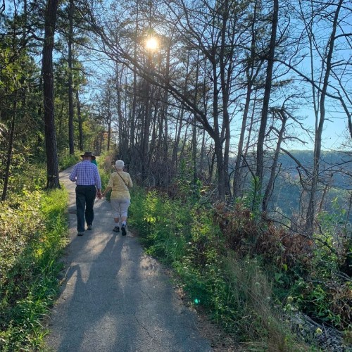 A couple walks hand in hand along a scenic trail, surrounded by trees and sunlight filtering through the branches.