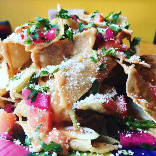 A colorful plate of nachos topped with cheese, tomatoes, onions, and fresh cilantro.