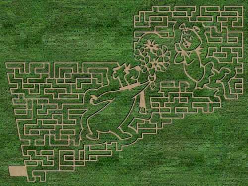 Aerial view of a maze featuring cartoon characters, with paths carved into green grass.