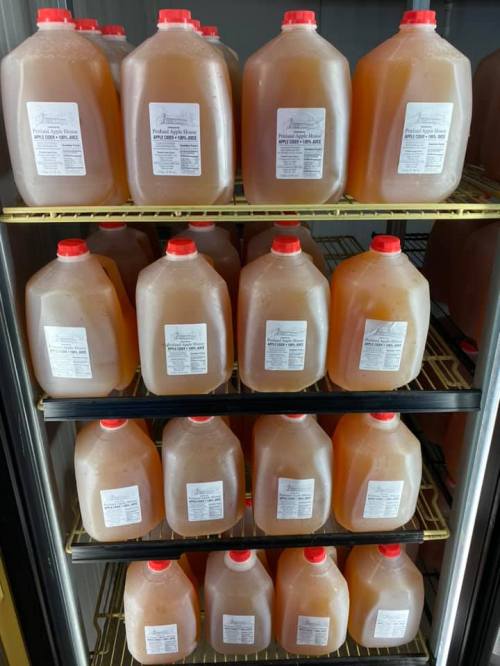 A refrigerator shelf filled with multiple jugs of apple cider, all labeled and capped with red lids.