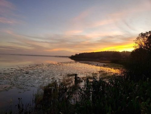 A serene sunset over a calm lake, with reflections on the water and lush greenery along the shore.