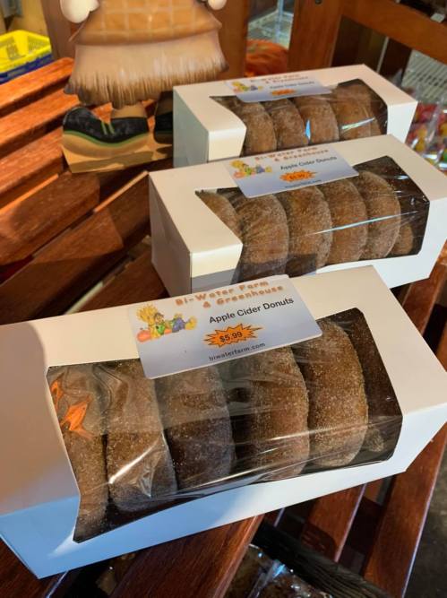 Three boxes of apple cider donuts, each containing several sugar-coated donuts, displayed on a wooden shelf.