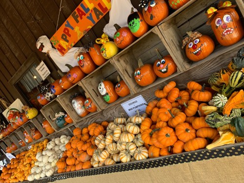 A colorful display of decorated pumpkins and gourds at a fall market, with a "Happy Fall Y'all" banner above.