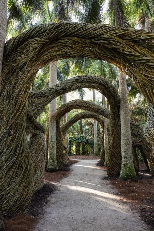 A winding path through a lush garden with large, twisted palm fronds creating archways overhead.