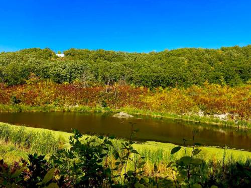 A serene river flows through lush greenery and colorful autumn foliage under a clear blue sky.