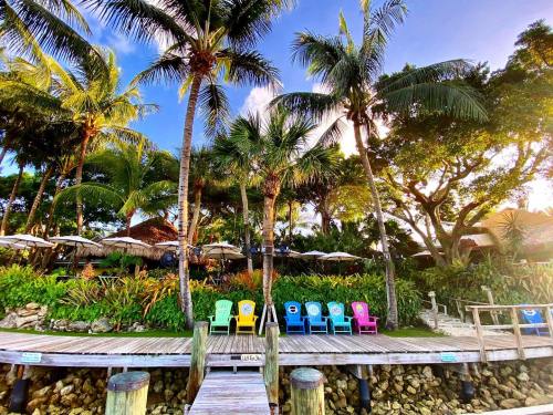 Colorful chairs line a wooden dock surrounded by lush palm trees and tropical foliage under a bright blue sky.