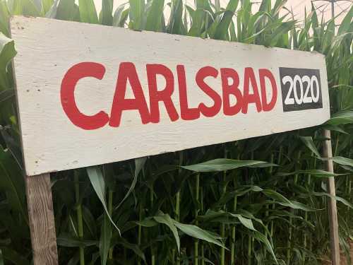 Sign reading "CARLSBAD 2020" in bold red letters, positioned in front of tall green corn plants.