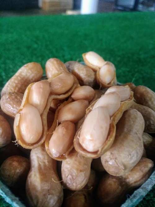 A close-up of shelled and unshelled peanuts on a green surface.