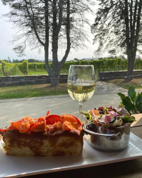 A plate with a lobster roll and salad, accompanied by a glass of white wine, set against a vineyard backdrop.