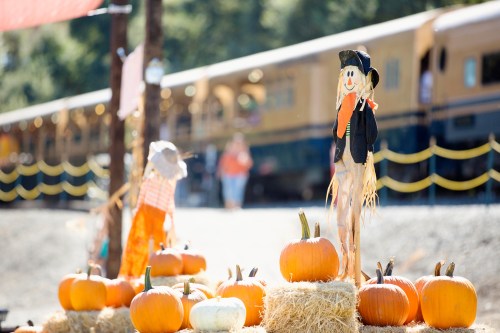 A scarecrow stands on hay bales surrounded by pumpkins, with a train in the background on a sunny day.