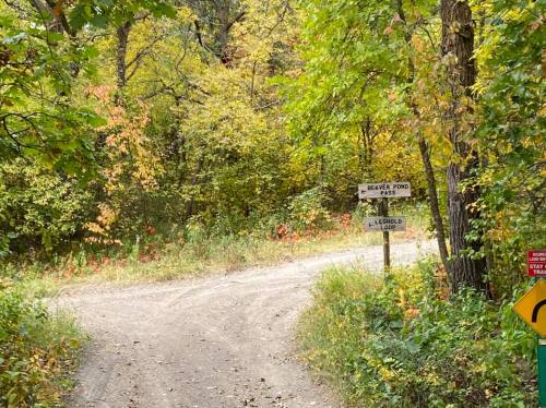 A dirt path forks in a wooded area, with signs for Beaver Pond Pass and Leopold Loop amidst colorful autumn foliage.