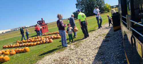 Families enjoy a sunny day at a pumpkin patch, surrounded by pumpkins and a train. Kids hold pumpkins, smiling.