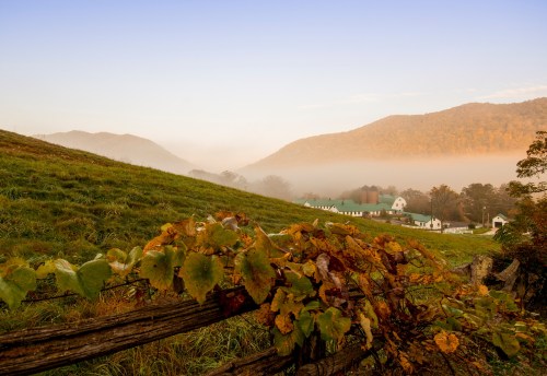 A serene landscape featuring rolling hills, a foggy valley, and a rustic fence adorned with autumn leaves.